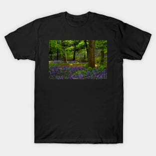 English Bluebell Woodland T-Shirt